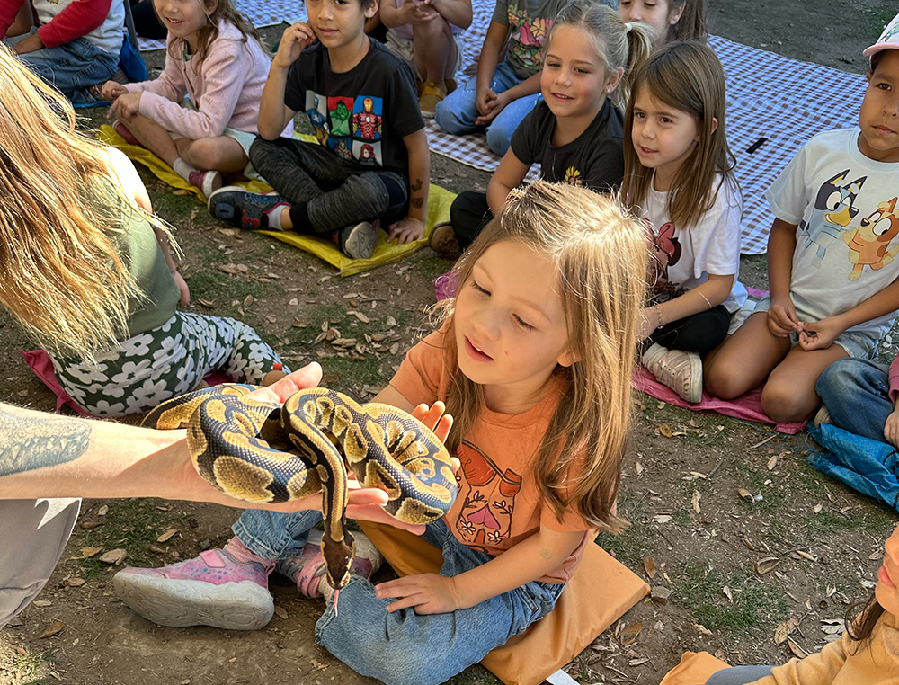 Reptile Zoo