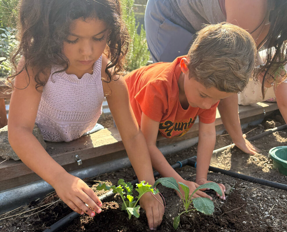 What we do - gardening